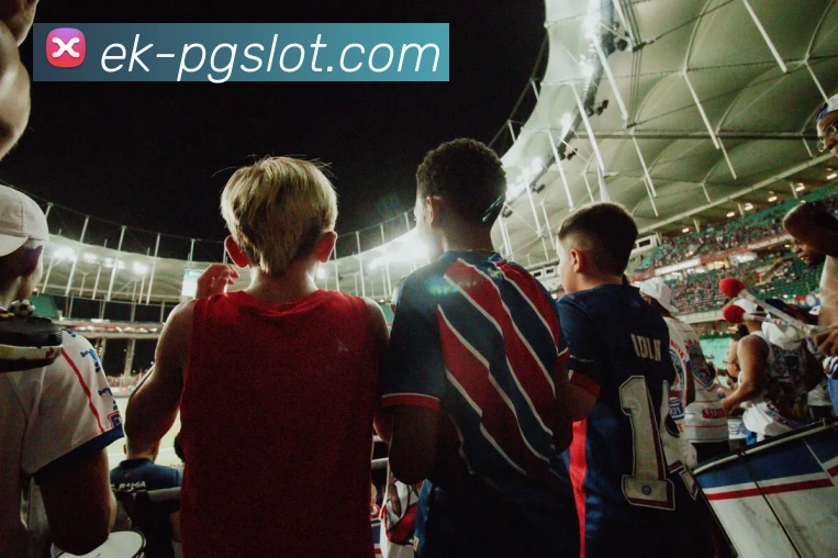 多媒体互动体验